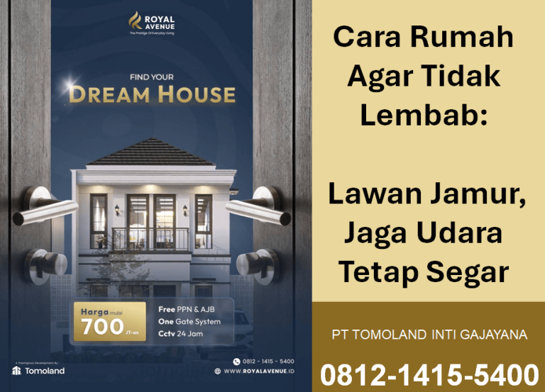 Cara Rumah Agar Tidak Lembab: Lawan Jamur, Jaga Udara Tetap Segar