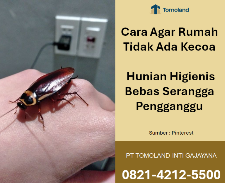 Bagaimana Cara Agar Rumah Tidak Ada Kecoa? Hunian Higienis Bebas Serangga Pengganggu