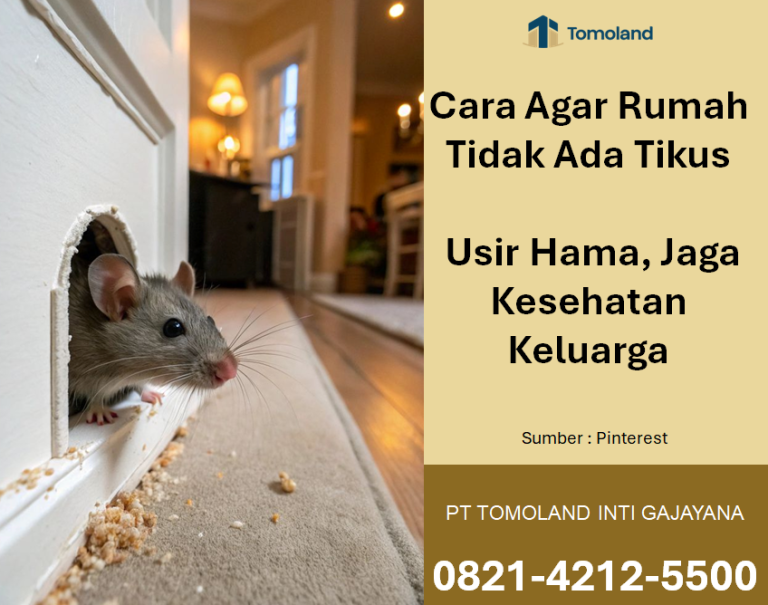 Bagaimana Cara Agar Rumah Tidak Ada Tikus? Usir Hama, Jaga Kesehatan Keluarga
