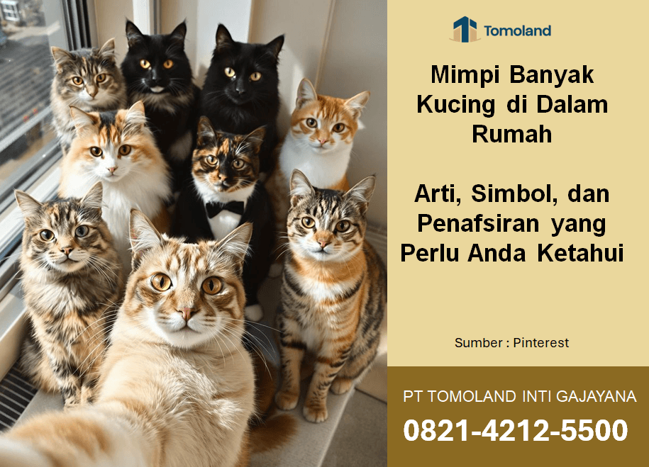 Mimpi Banyak Kucing di Dalam Rumah: Arti, Simbol, dan Penafsiran yang Perlu Anda Ketahui