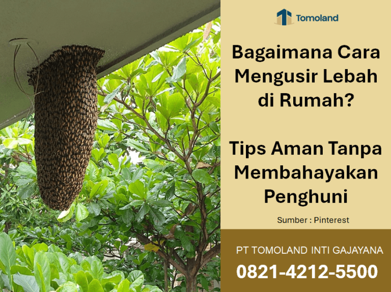 Bagaimana Cara Mengusir Lebah di Rumah? Tips Aman Tanpa Membahayakan Penghuni