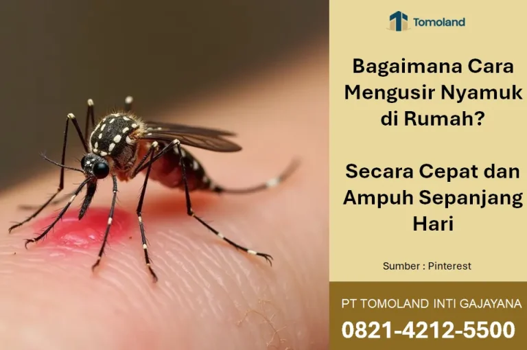 Bagaimana Cara Mengusir Nyamuk di Rumah? Cepat & Ampuh