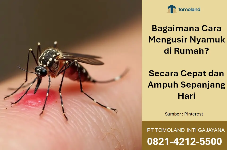 Bagaimana Cara Mengusir Nyamuk di Rumah? Cepat & Ampuh