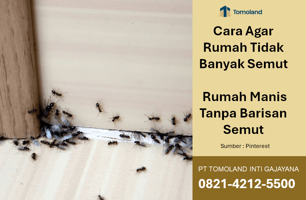 Cara Agar Rumah Tidak Banyak Semut: Rumah Manis Tanpa Barisan Semut