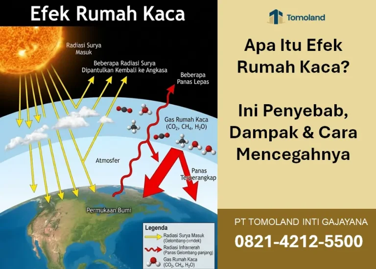 Apa Itu Efek Rumah Kaca? Ini Penyebab, Dampak, dan Cara Mencegahnya