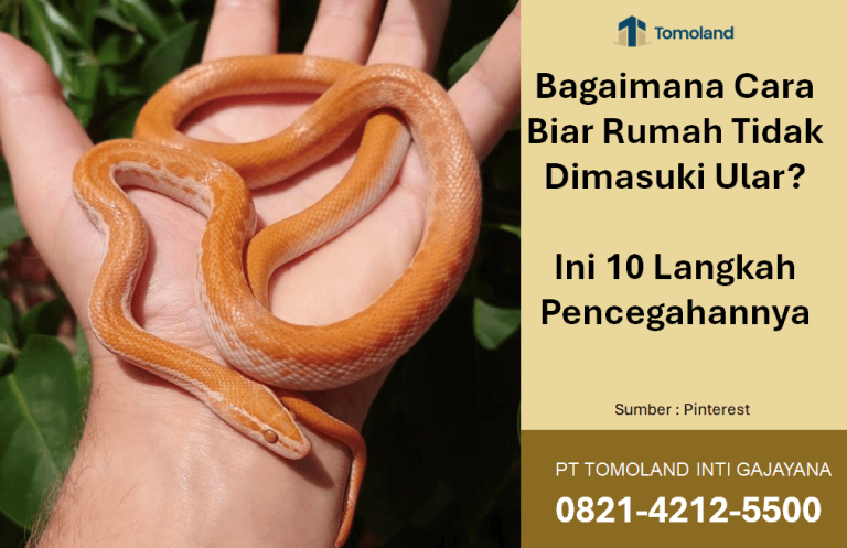 Bagaimana Cara Biar Rumah Tidak Dimasuki Ular? Ini 10 Langkah Pencegahannya
