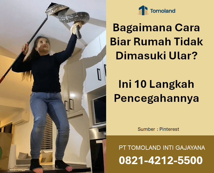 Bagaimana Cara Biar Rumah Tidak Dimasuki Ular? Ini 10 Langkah Pencegahannya
