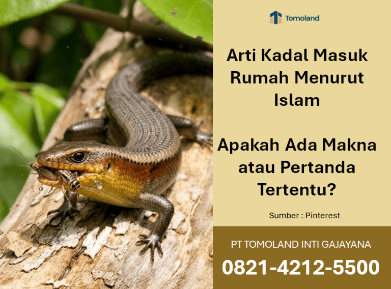 Arti Kadal Masuk Rumah Menurut Islam: Apakah Ada Makna atau Pertanda Tertentu?