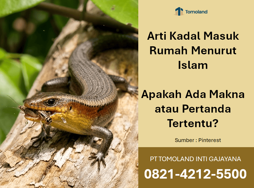 Arti Kadal Masuk Rumah Menurut Islam: Apakah Ada Makna atau Pertanda Tertentu?