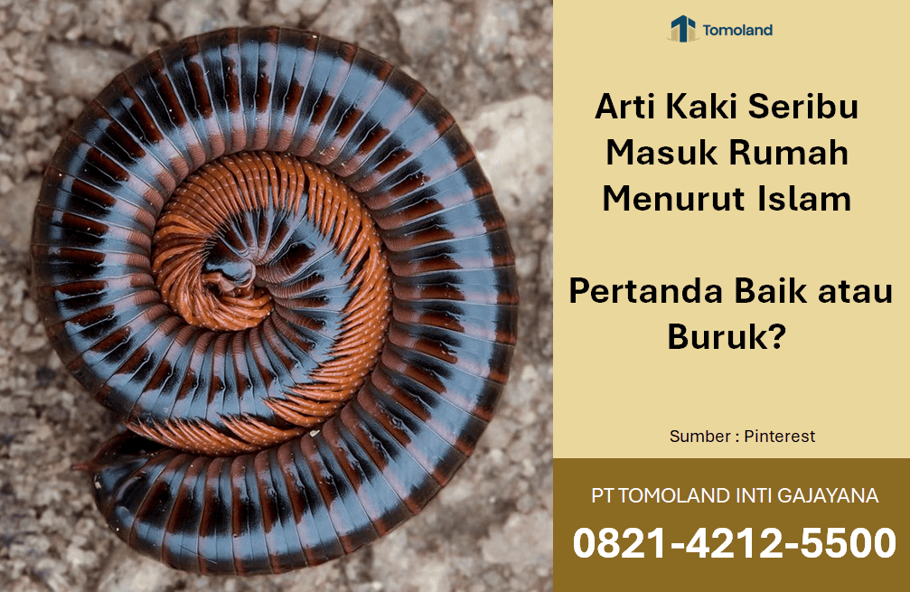 Arti Kaki Seribu Masuk Rumah Menurut Islam: Pertanda Baik atau Buruk?