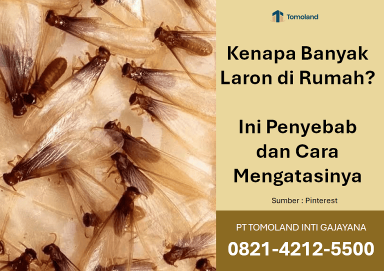 Kenapa Banyak Laron di Rumah? Ini Penyebab dan Cara Mengatasinya