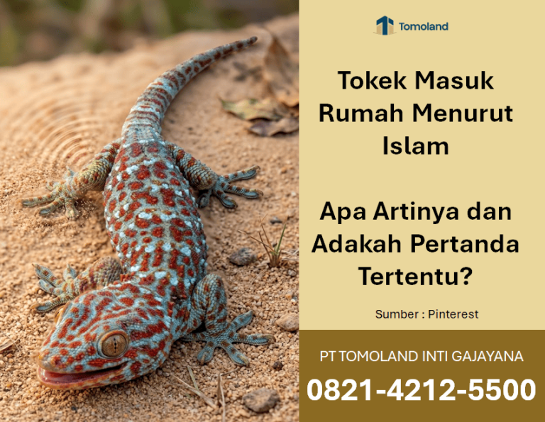Tokek Masuk Rumah Menurut Islam: Apa Artinya dan Adakah Pertanda Tertentu?