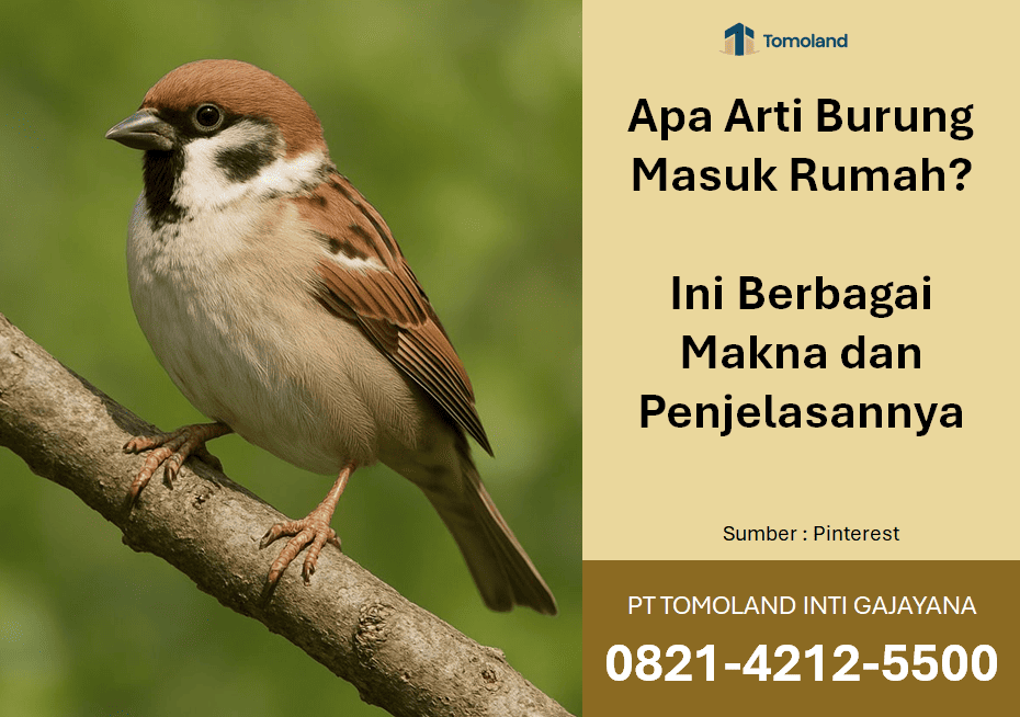 Arti Burung Masuk Rumah: Ini Berbagai Makna dan Penjelasannya