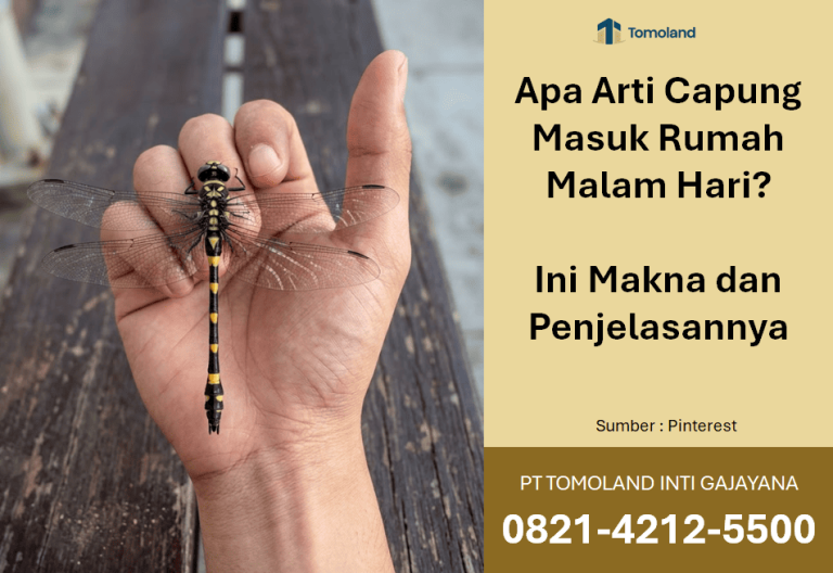 Apa Arti Capung Masuk Rumah Malam Hari? Ini Makna dan Penjelasannya