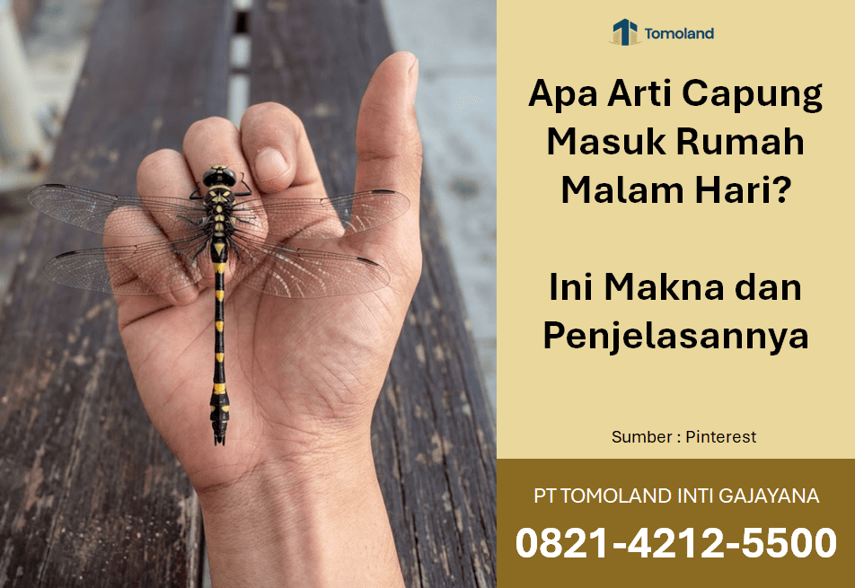 Apa Arti Capung Masuk Rumah Malam Hari? Ini Makna dan Penjelasannya