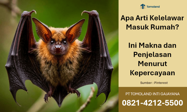 Apa Arti Kelelawar Masuk Rumah? Ini Makna dan Penjelasan Menurut Kepercayaan