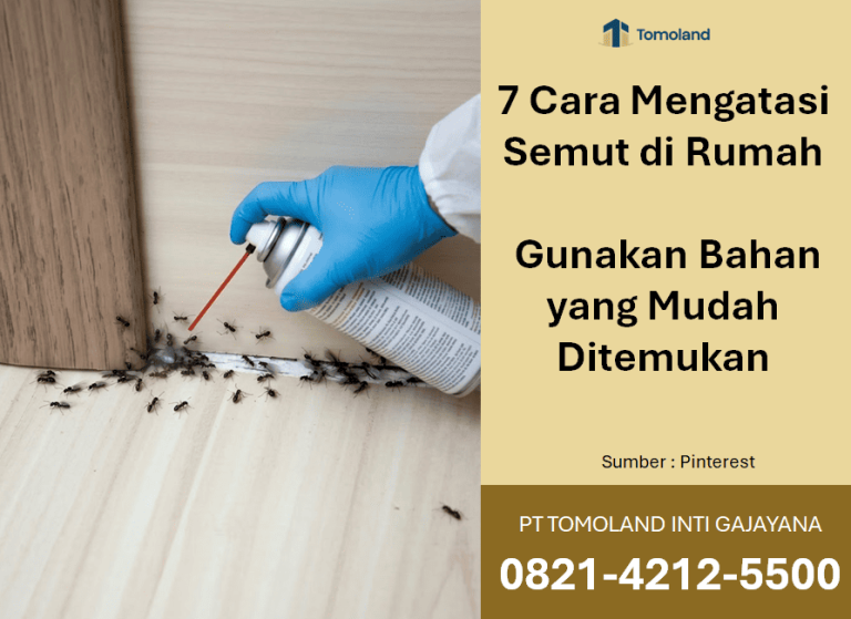 Cara Mengatasi Semut di Rumah: 7 Strategi Efektif Menggunakan Bahan Alami